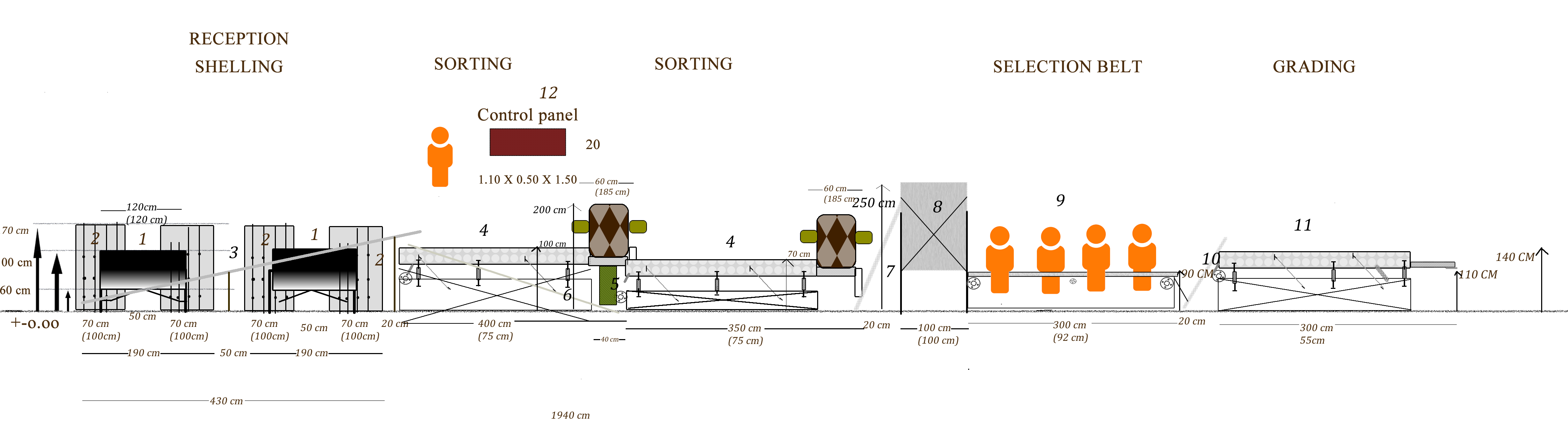 walnut shelling line